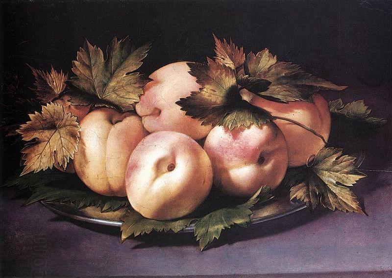 FIGINO, Giovanni Ambrogio Metal Plate with Peaches and Vine Leaves